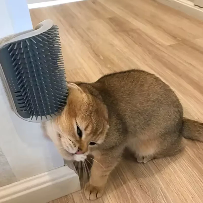 Masajeador de esquina para Gato rascador para rascar gatos cepillo para gatos peine cepillo para esquina de masaje  pet supplies