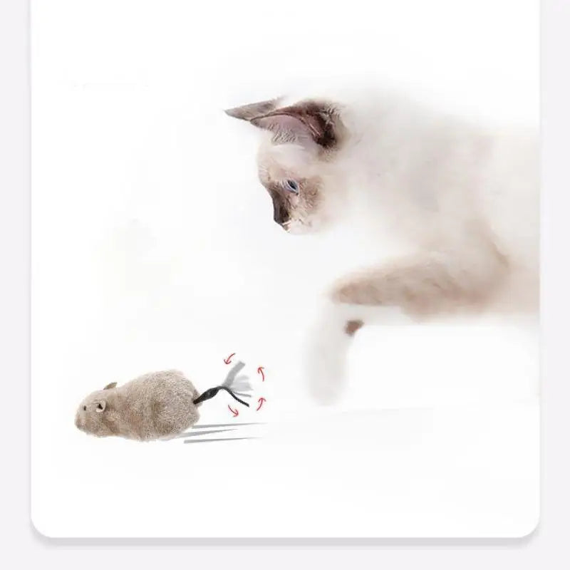 Ratón de juguete realista para gatos — ¡Les vuelve locos!