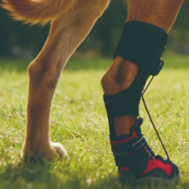 Dog Shoes Dirty Proof Anti Drop Wear Resistant Hard Sole Breathable Foot Protection Puppy Boots Injured dog joint fixation