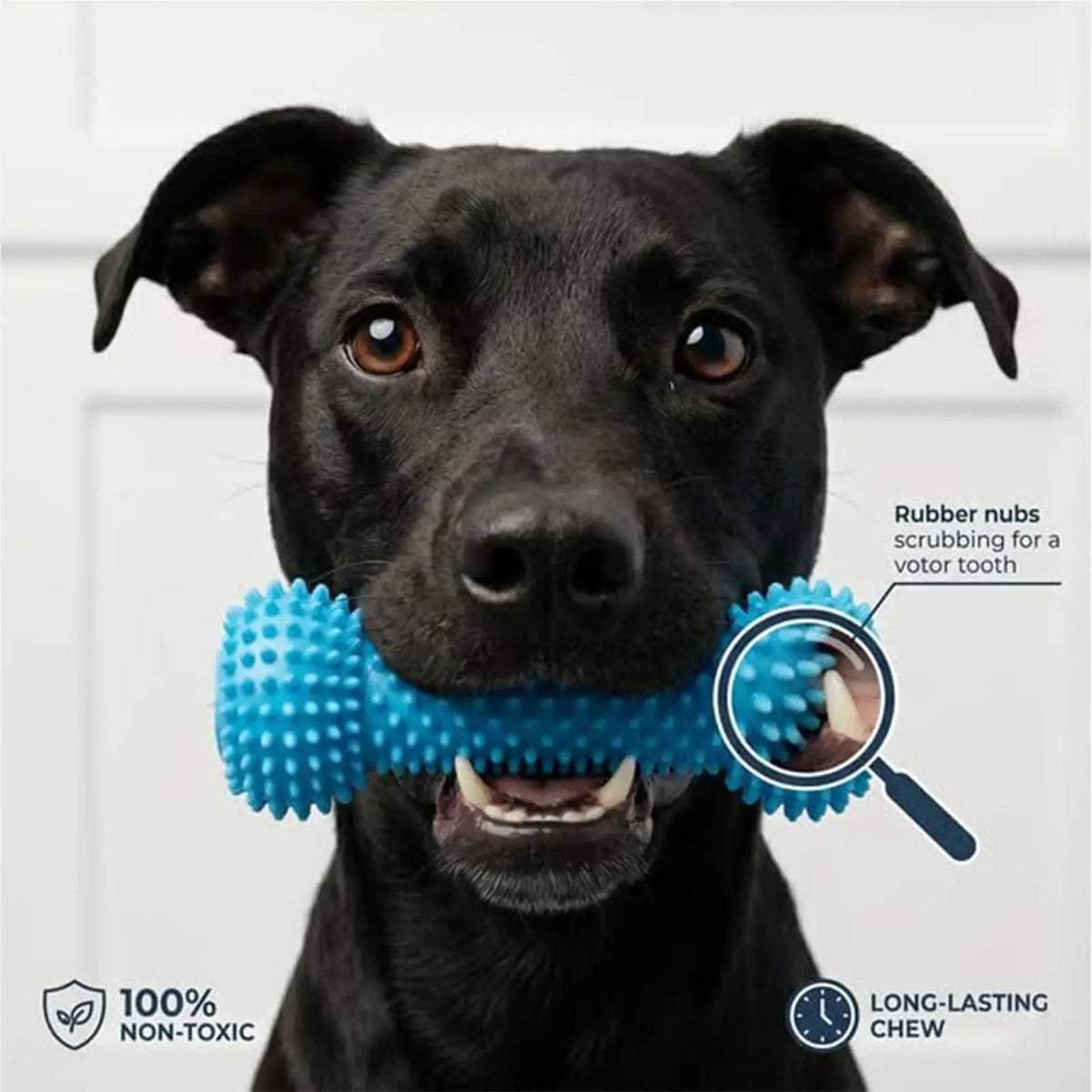 Dog Chew Toy, Double-Action Rubber Chewer, Teeth Cleaning for Small Medium Large Breeds, Home Daily Use