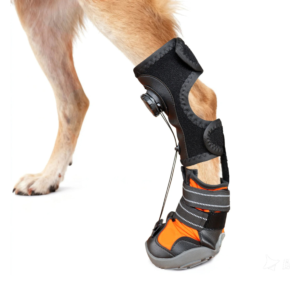 Dog Shoes Dirty Proof Anti Drop Wear Resistant Hard Sole Breathable Foot Protection Puppy Boots Injured dog joint fixation