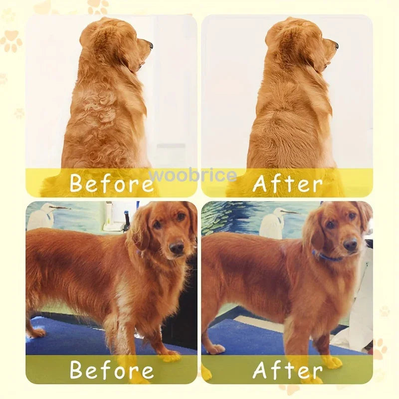 Electric Dog Steamer Brush Grooming 3 in 1 Dog Steam Brush Pet Remove Tangles and Loose Hair for Massage Steamy Cat Supplies