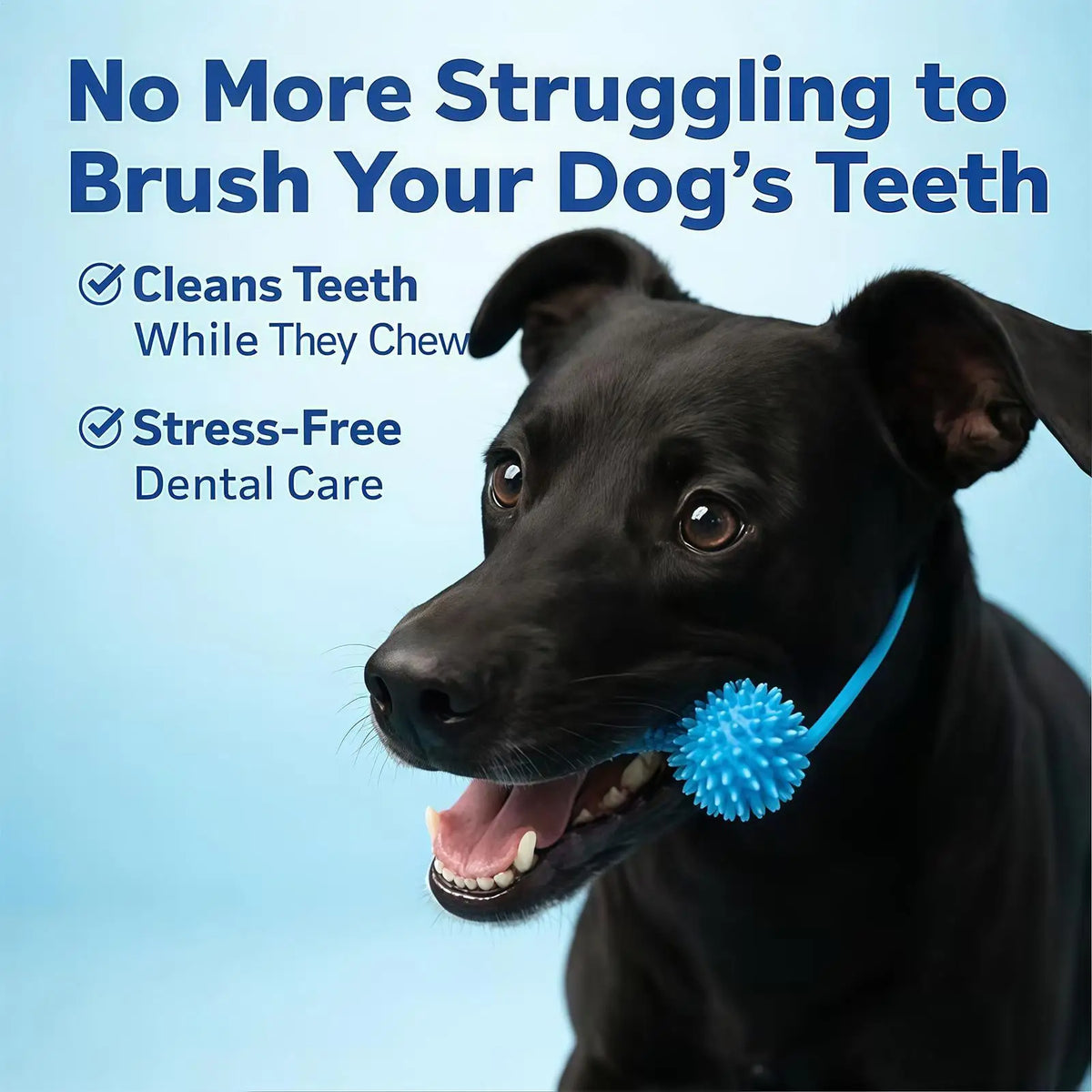 Dog Chew Toy, Double-Action Rubber Chewer, Teeth Cleaning for Small Medium Large Breeds, Home Daily Use