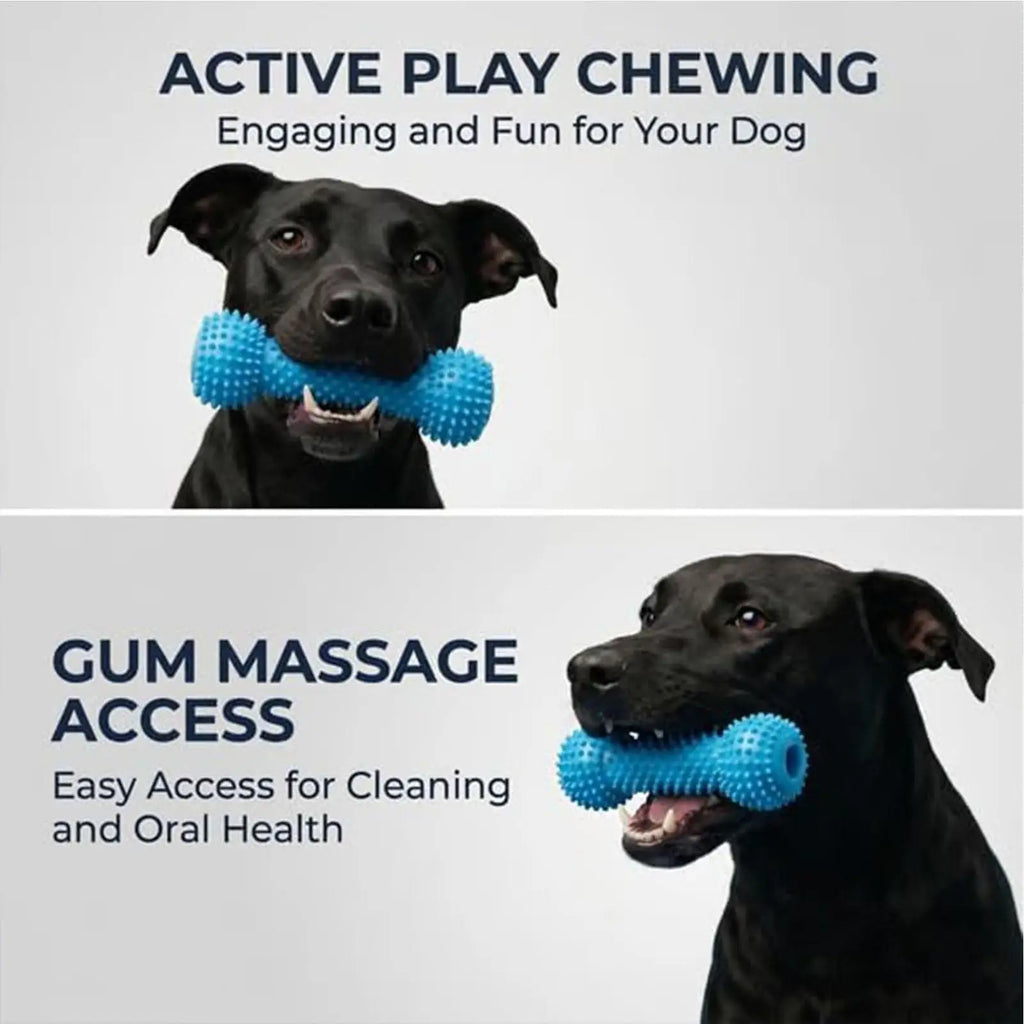 Dog Chew Toy, Double-Action Rubber Chewer, Teeth Cleaning for Small Medium Large Breeds, Home Daily Use