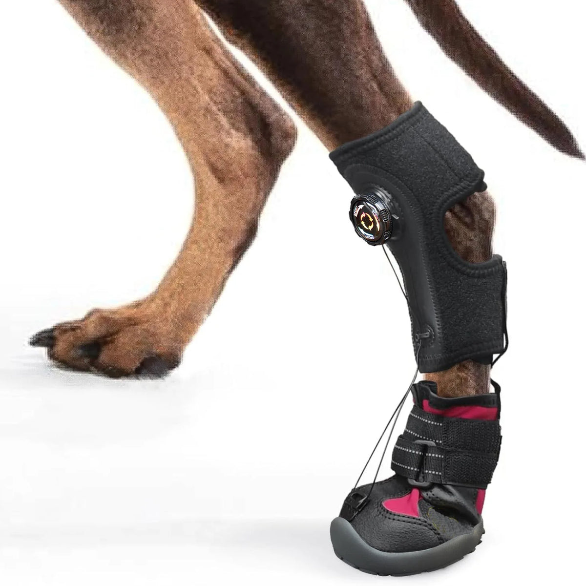 Dog Shoes Dirty Proof Anti Drop Wear Resistant Hard Sole Breathable Foot Protection Puppy Boots Injured dog joint fixation